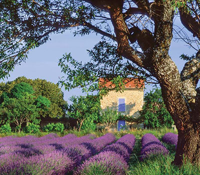 Burgundy & Provence