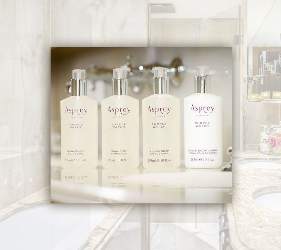 #5 愛絲普蕾遇見愛馬仕