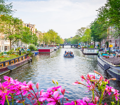 美好1號 Ms Viva One