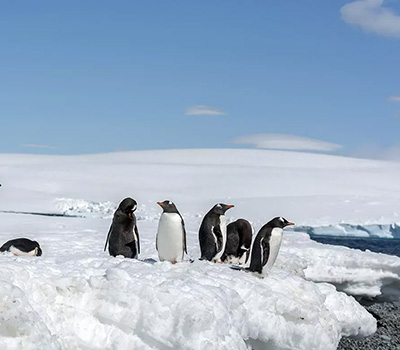 銀海遊輪奮進號 Endeavor