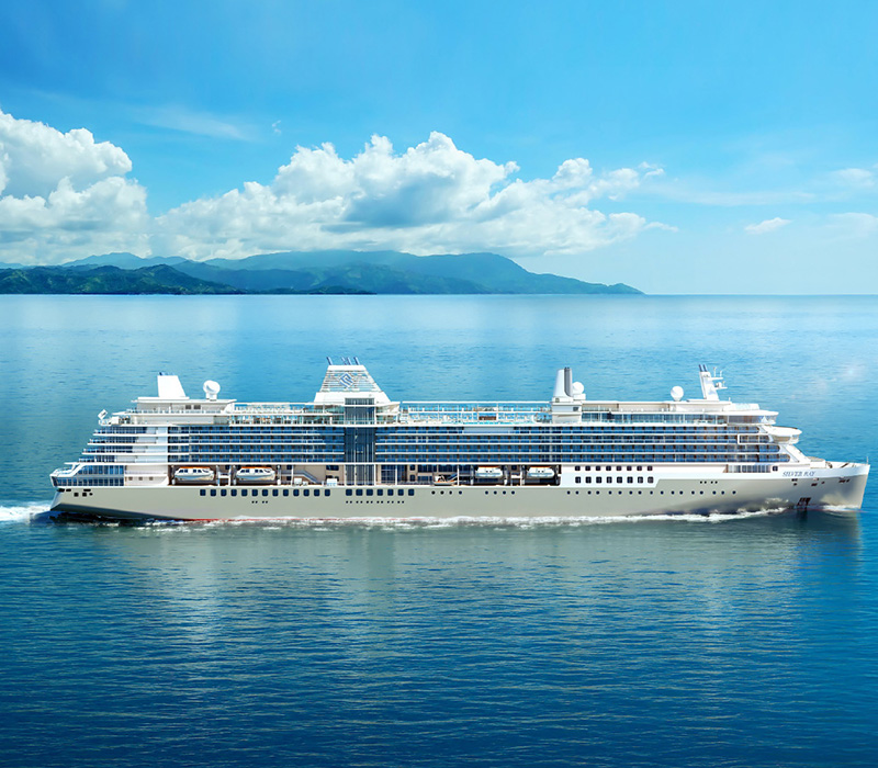 Silver Ray  ( 2024 )