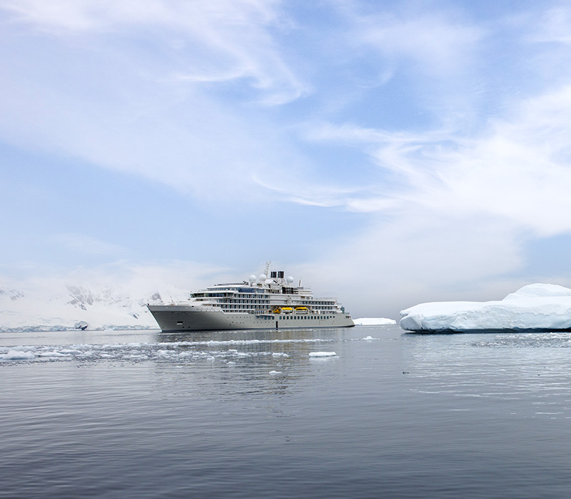 Silver Endeavour ( 2021 )