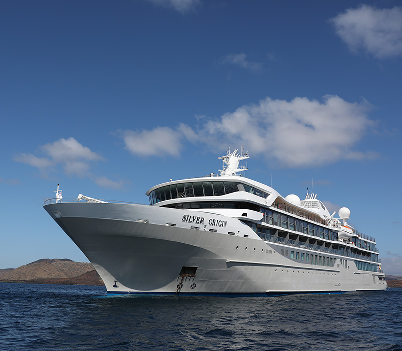 Silver Origin ( 2020 )