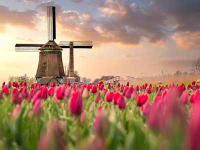 Holland & Belgium